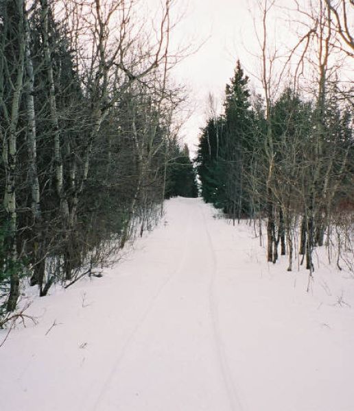 oxbow driveway.jpg